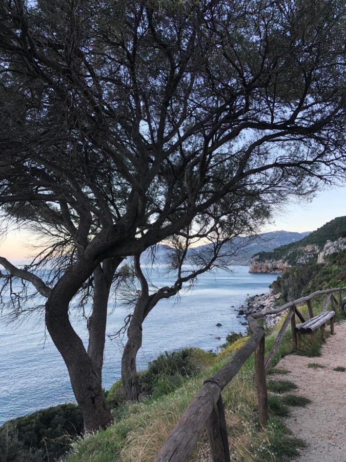Cala Gonone, Casa I Piniアパートメント エクステリア 写真