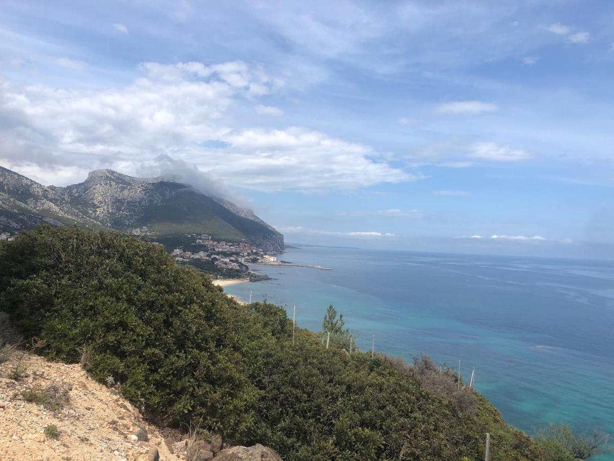 Cala Gonone, Casa I Piniアパートメント エクステリア 写真