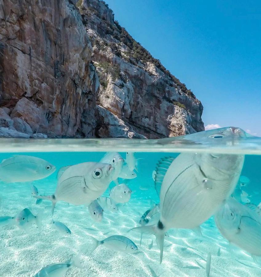 Cala Gonone, Casa I Piniアパートメント エクステリア 写真