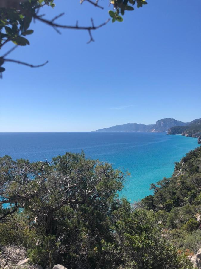 Cala Gonone, Casa I Piniアパートメント エクステリア 写真