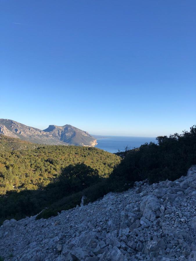 Cala Gonone, Casa I Piniアパートメント エクステリア 写真