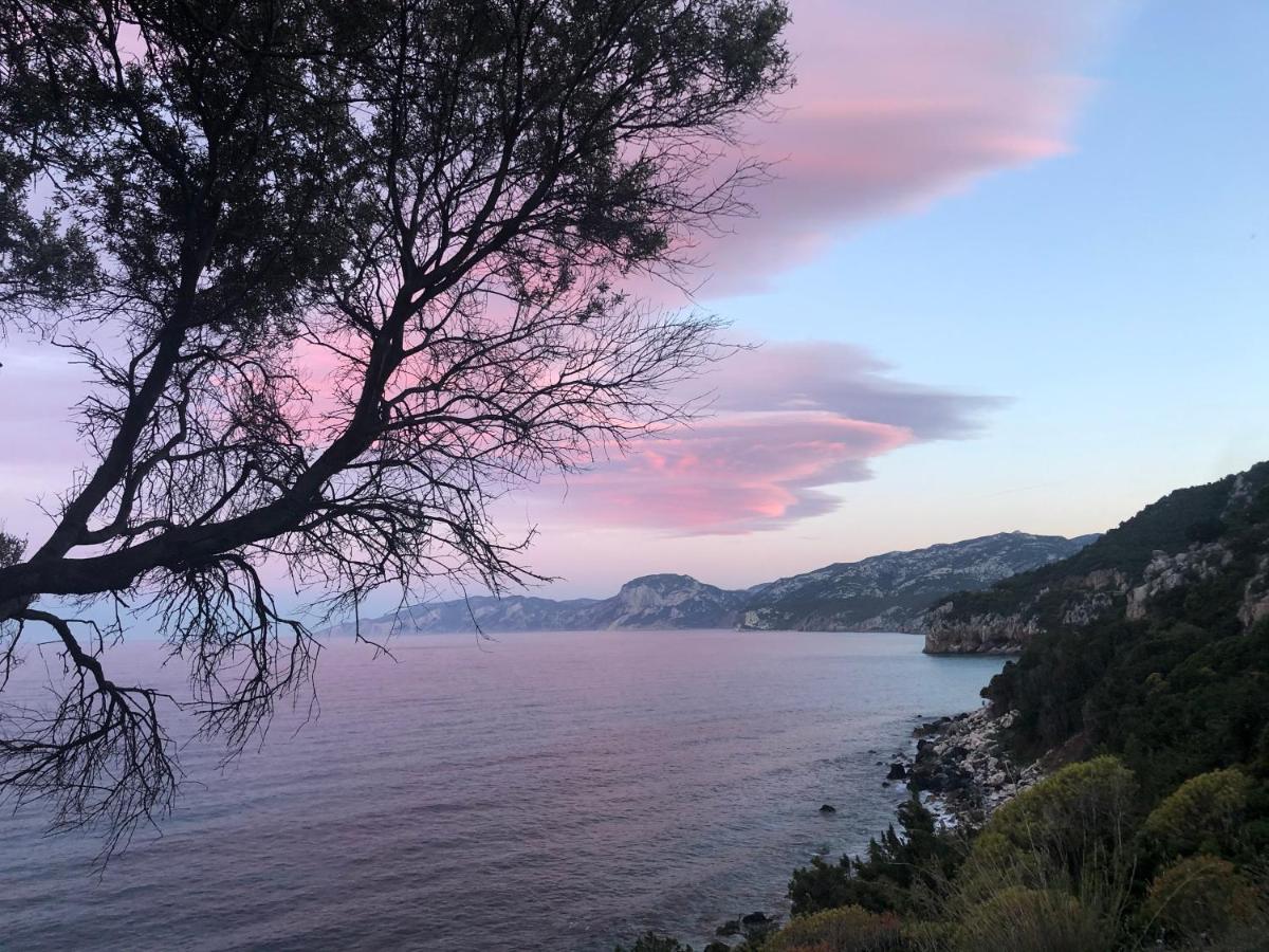 Cala Gonone, Casa I Piniアパートメント エクステリア 写真
