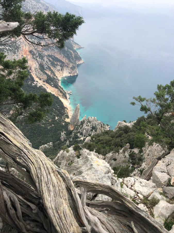 Cala Gonone, Casa I Piniアパートメント エクステリア 写真